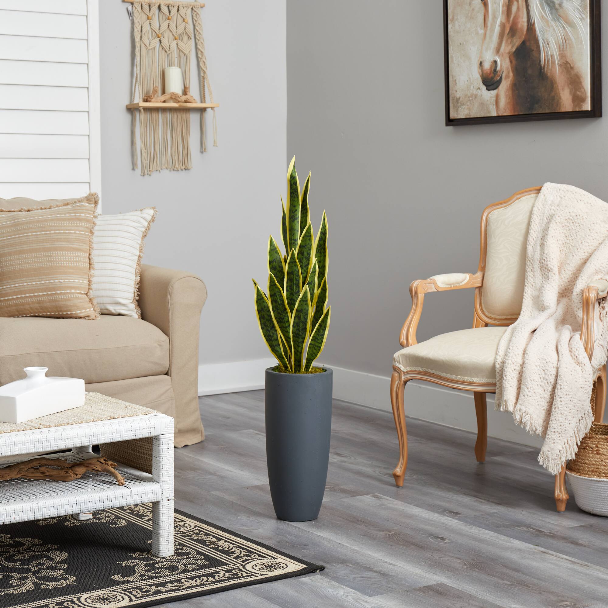 3.5ft. Snake Plant in Decorative Gray Planter